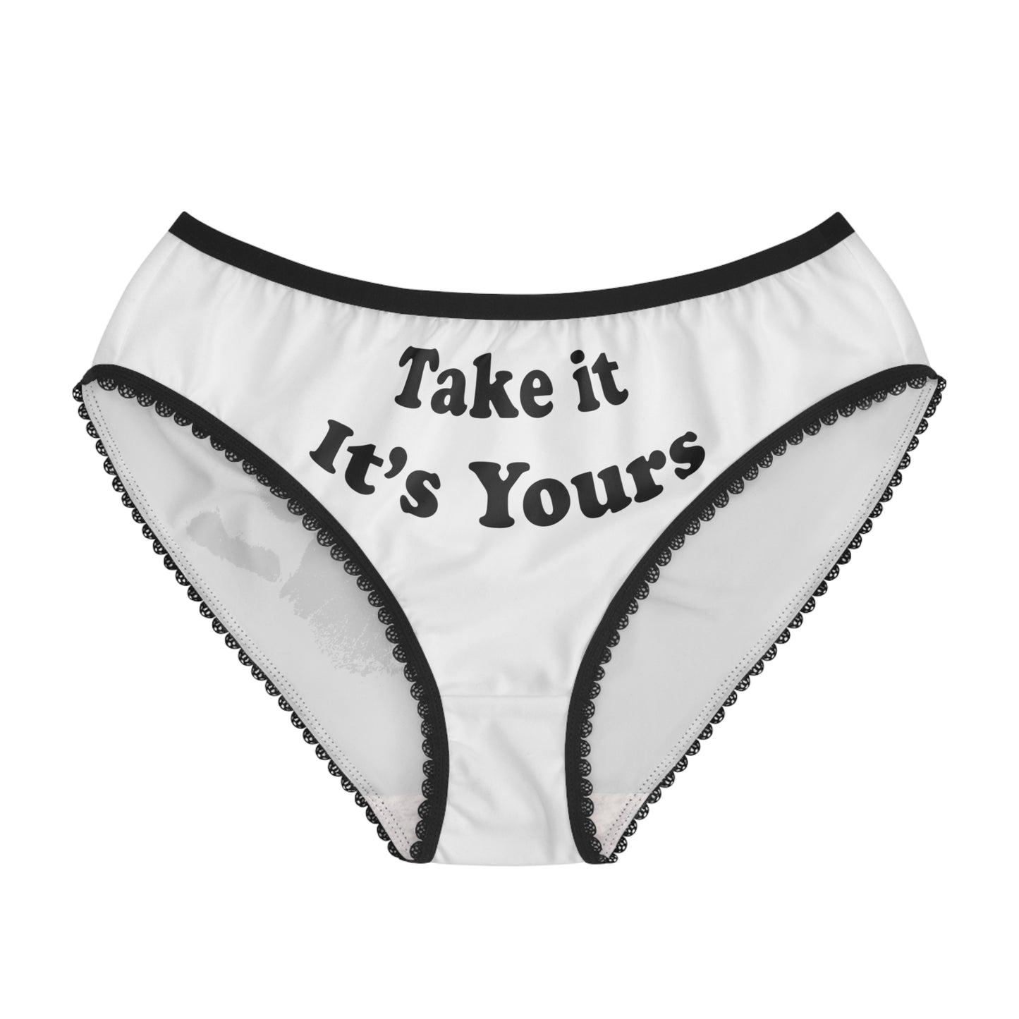 Take It Its Yours Panties, Hand print Panties Underwear, Submissive Panties, Women's Briefs