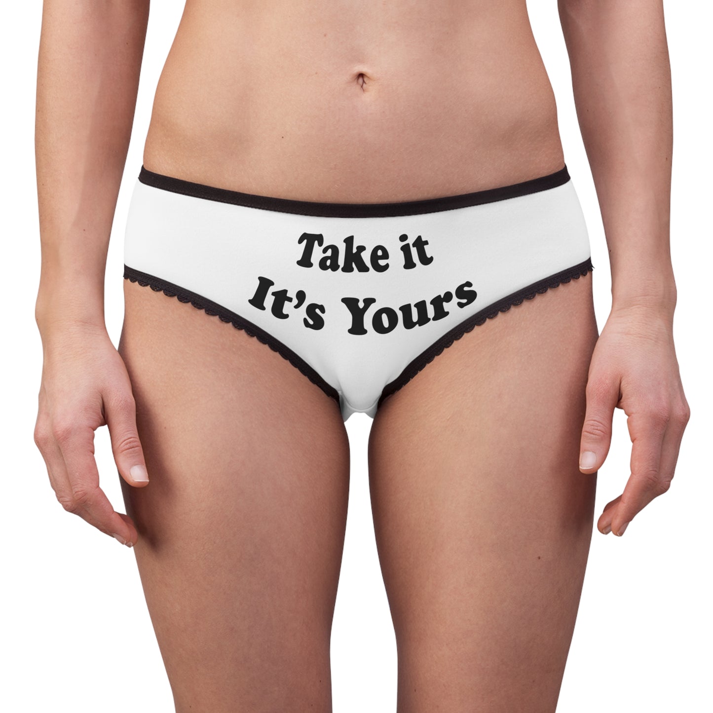 Take It Its Yours Panties, Hand print Panties Underwear, Submissive Panties, Women's Briefs