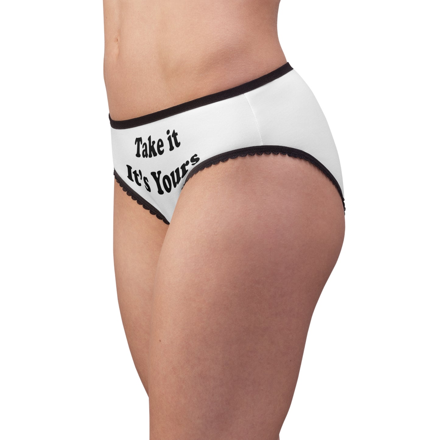 Take It Its Yours Panties, Hand print Panties Underwear, Submissive Panties, Women's Briefs