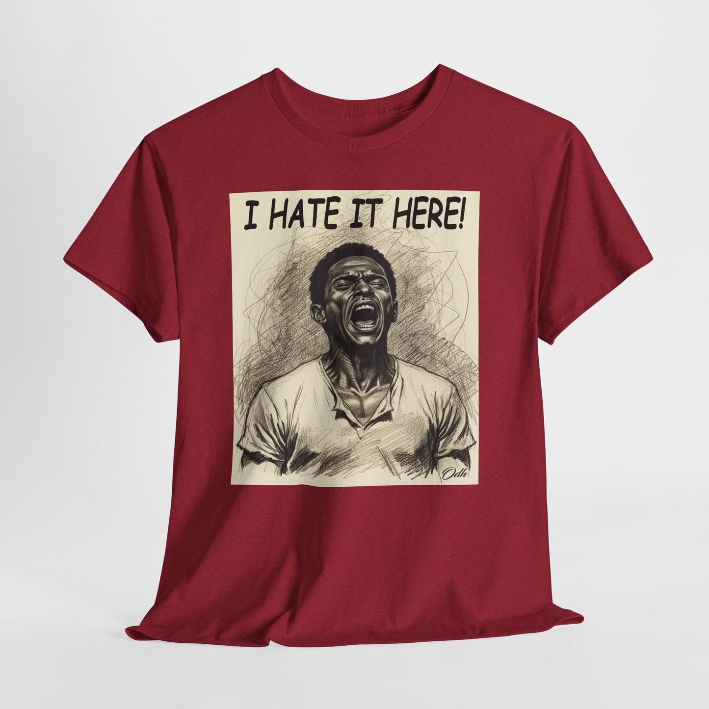 I Hate It Here Tshirt Funny Tshirt